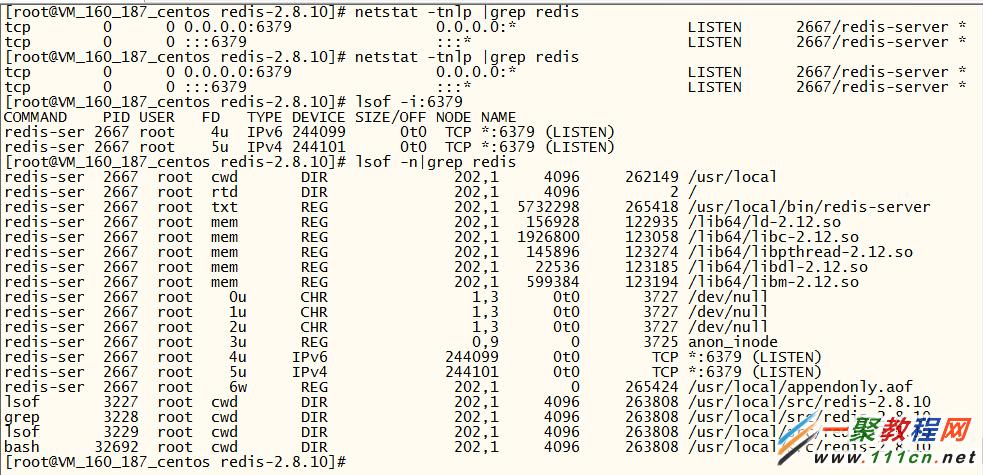 show redis status