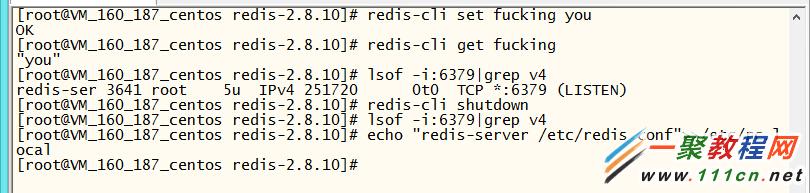 test the redis service